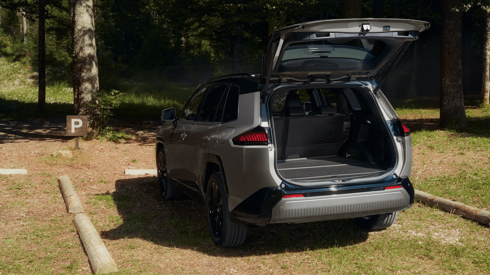 Toyota RAV4 PHEV parked in forest
